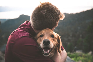 6 Tips for Becoming a Better Dog Owner