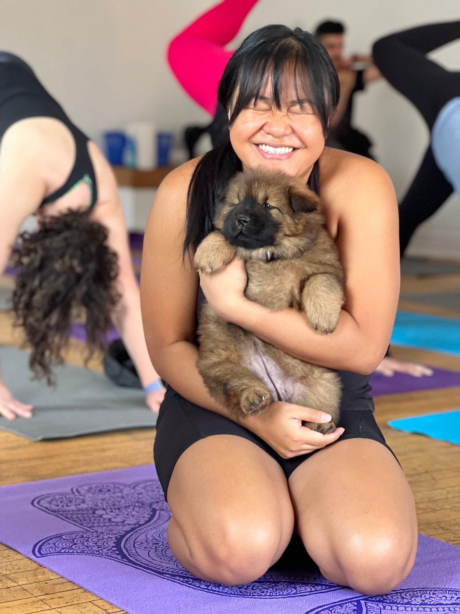 Woman kneeling on purple yoga mat and smiling widely while holding a Chow Chow puppy attending one of Doggos' Puppy Yoga & Bubbly Events