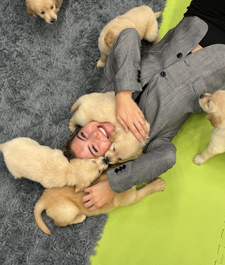 Puppy Cuddles | The Well Pop-Up