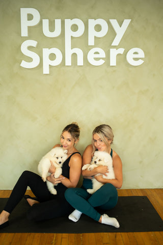 Puppy Yoga & Bubbly | Toronto Sun