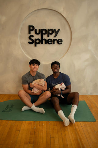 Wellness Puppy Yoga | Toronto Glow