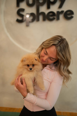 Wellness Puppy Yoga | Toronto Glow