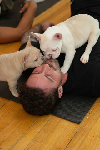 Yoga Bien-être avec Chiots | Toronto Glow