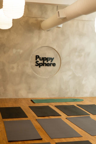 Puppy Yoga & Bubbly | Toronto Glow