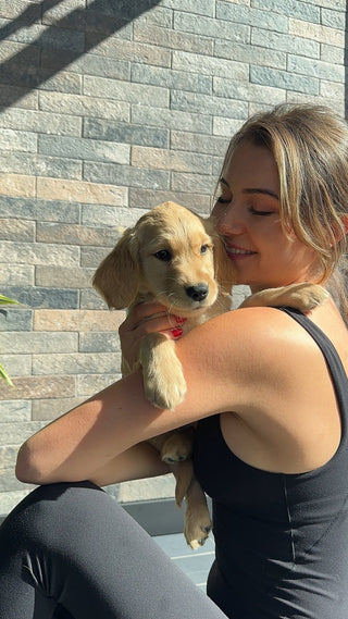 Puppy Yoga Retreat | Toronto Series