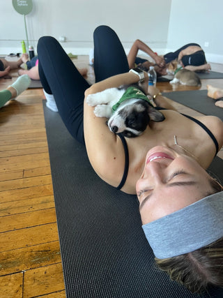 Wellness Puppy Yoga | Ottawa