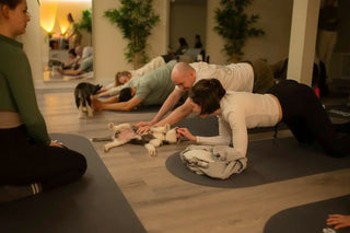 Wellness Puppy Yoga | Ottawa