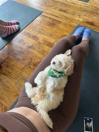 Wellness Puppy Yoga | Ottawa