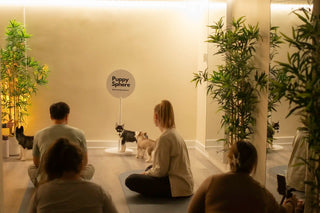 Wellness Puppy Yoga | Ottawa