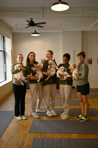 Puppy Yoga & Bubbly | Montréal