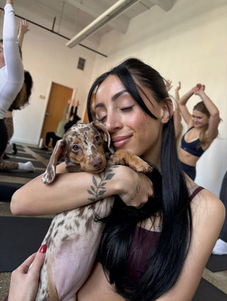 Simply Puppy Yoga | Toronto Glow